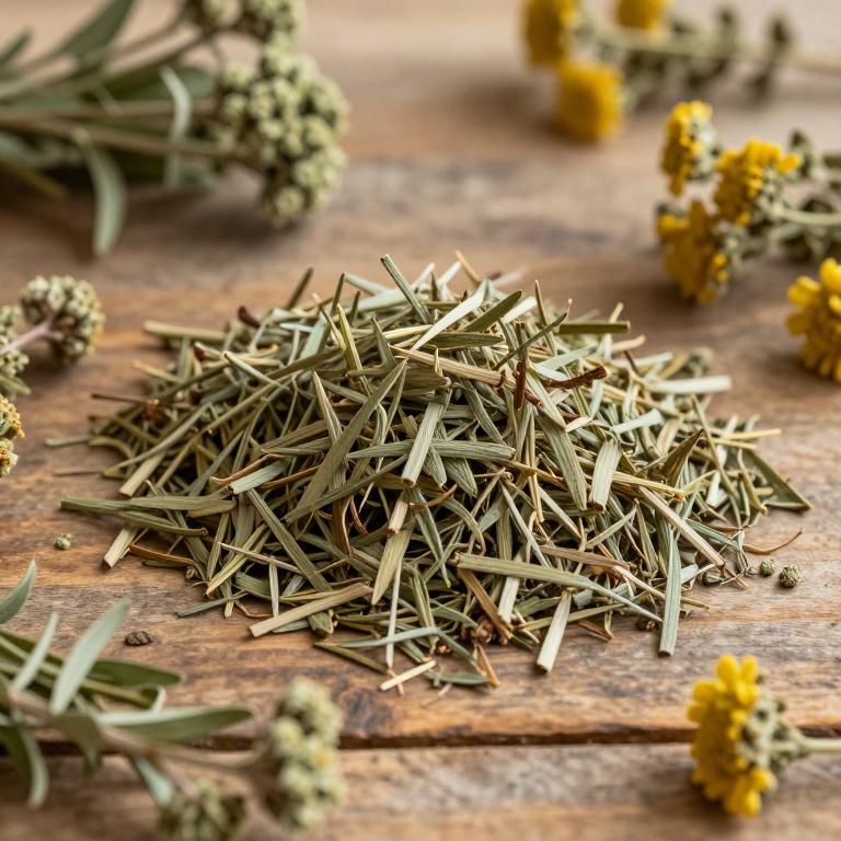 Artemisia gmelinii var. gmelinii