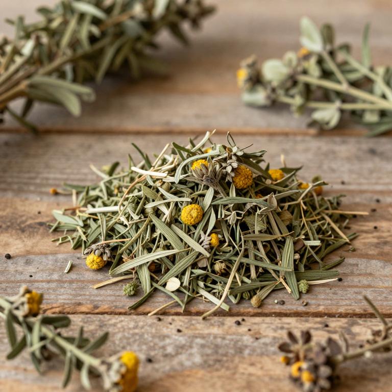 Artemisia haussknechtii
