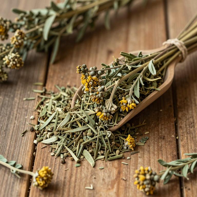 Artemisia heptapotamica