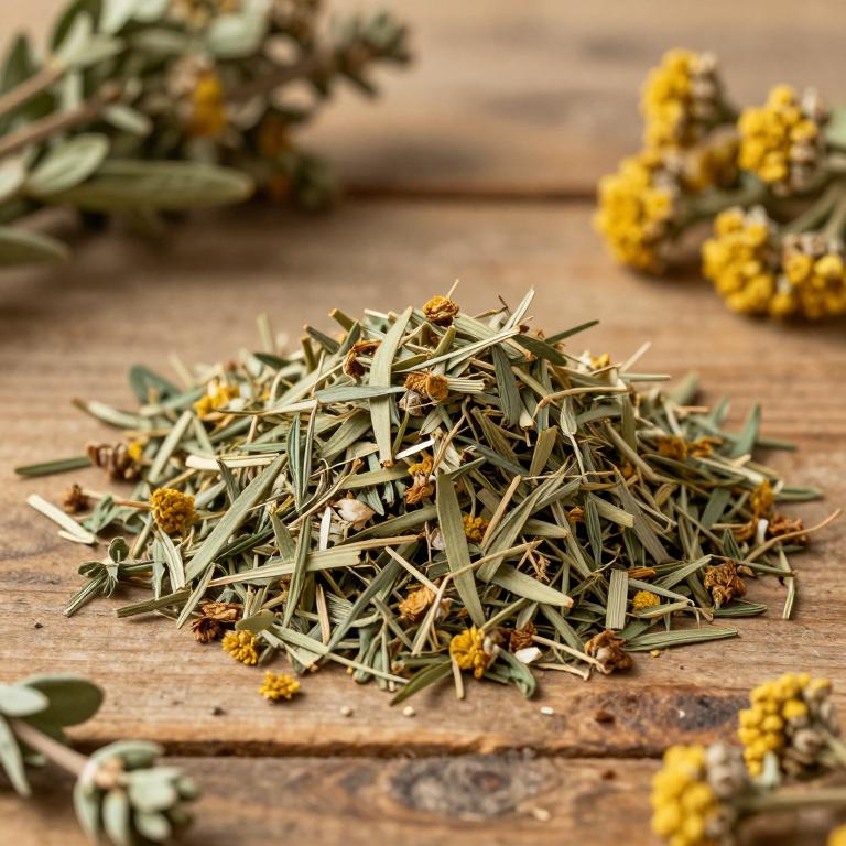 Artemisia japonica
