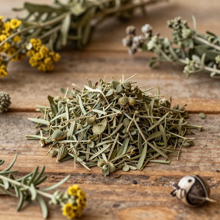 Artemisia ludoviciana subsp. mexicana
