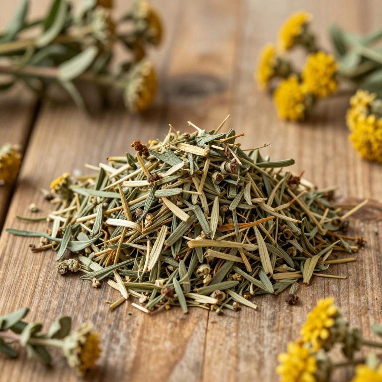 Artemisia maritima