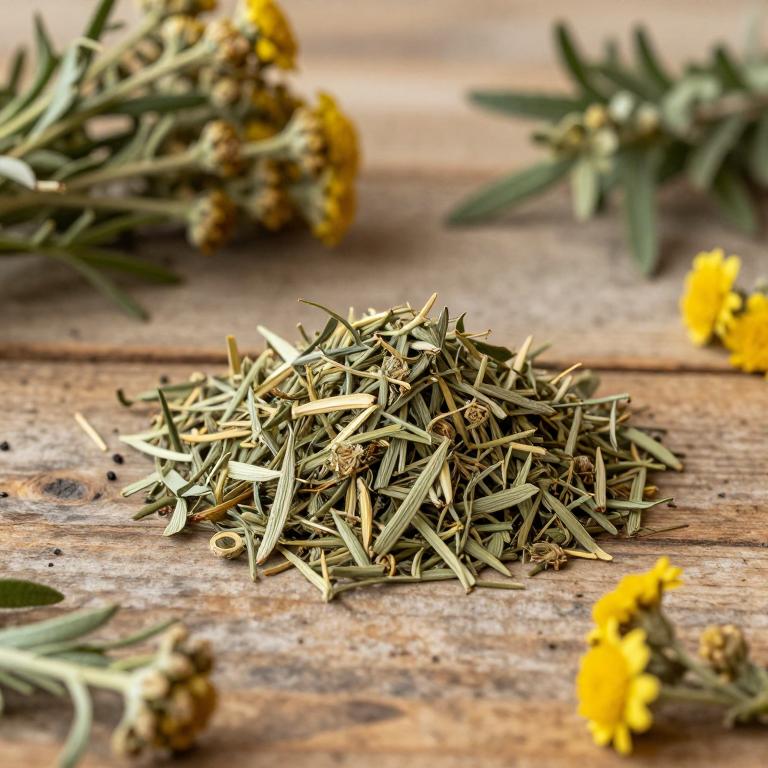 Artemisia marschalliana