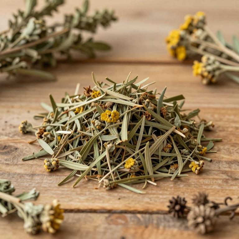 Artemisia pallens