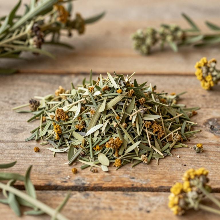 Artemisia persica