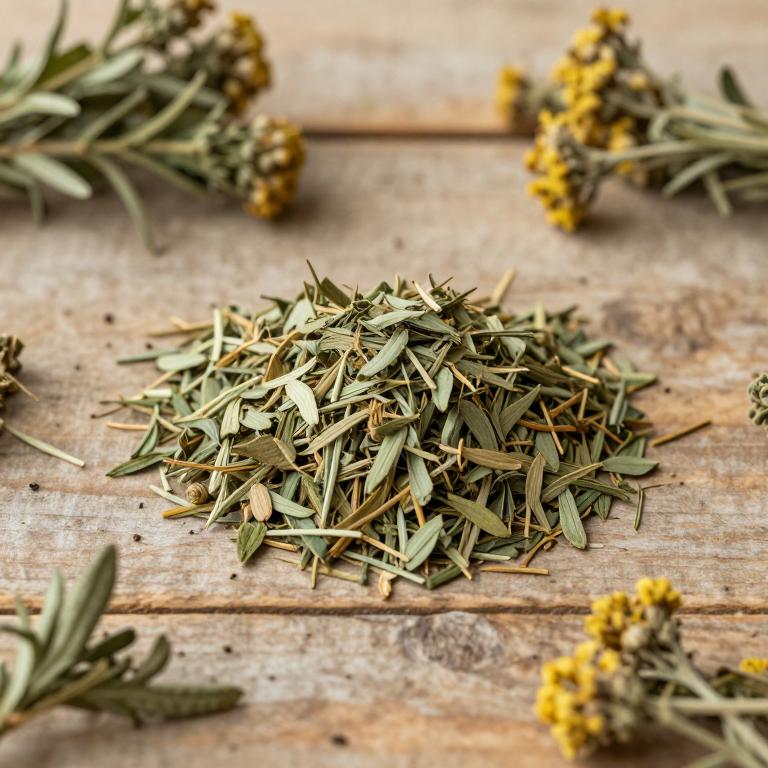 Artemisia rutifolia
