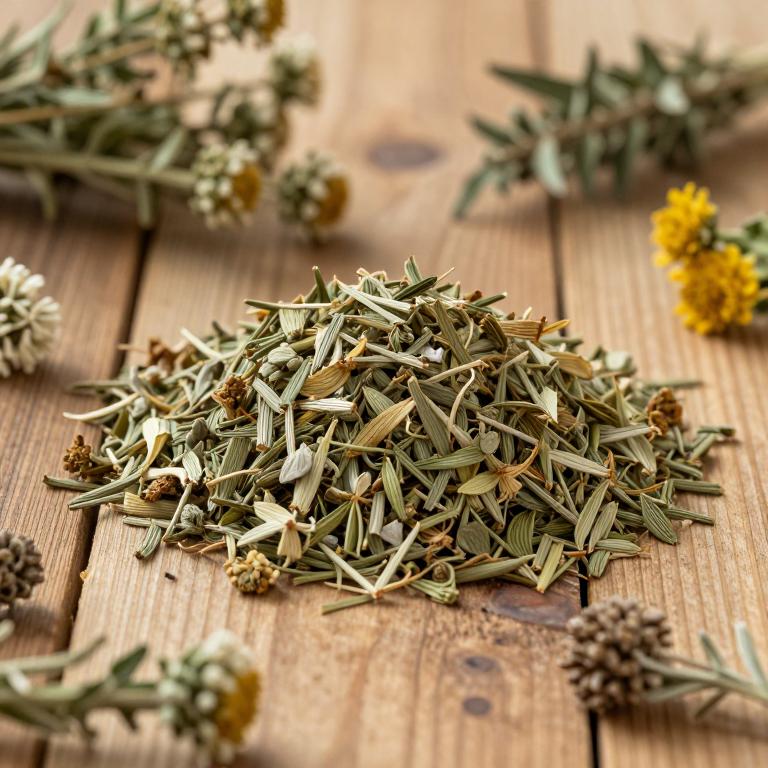 Artemisia spicigera