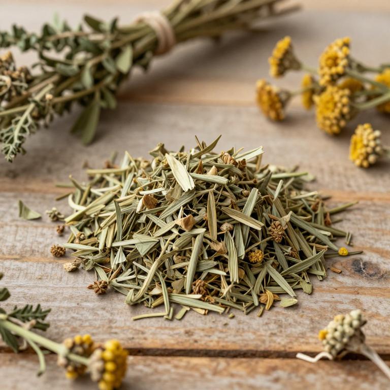 Artemisia splendens