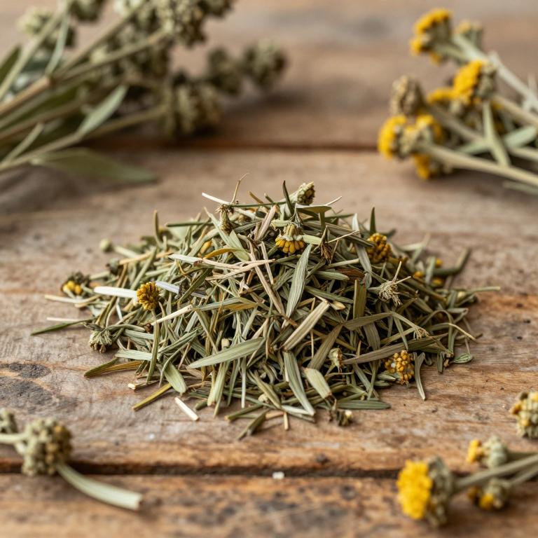 Artemisia sublessingiana