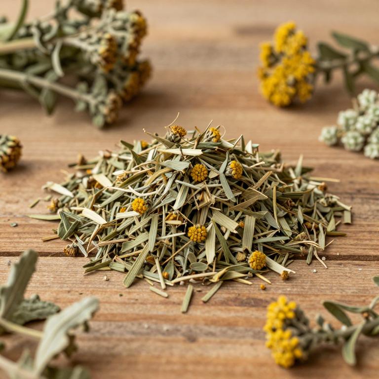 Artemisia vachanica