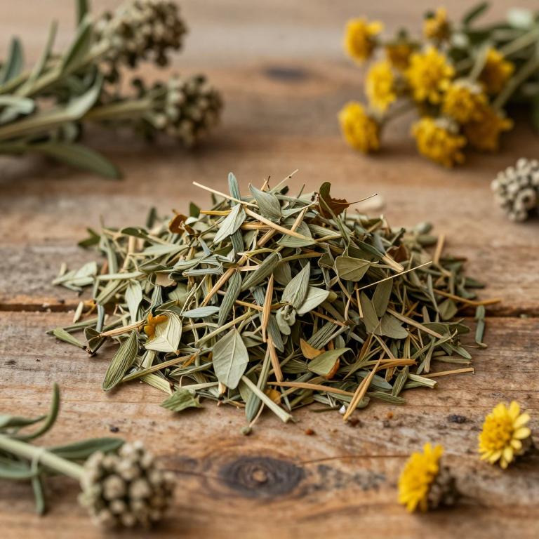 Artemisia verlotiorum
