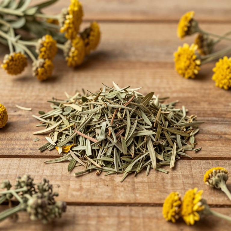 Artemisia zhongdianensis