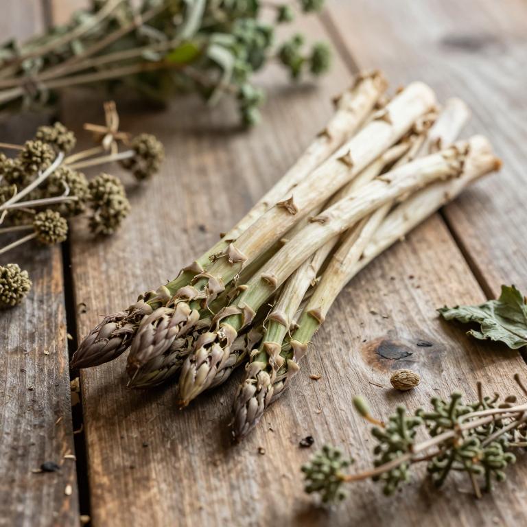 Asparagus adscendens
