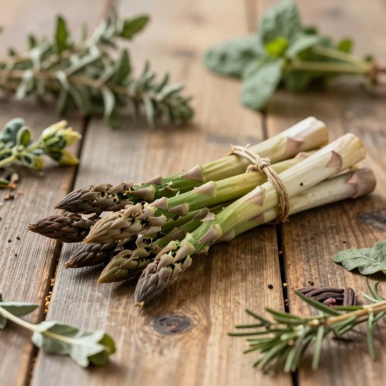Asparagus aethiopicus