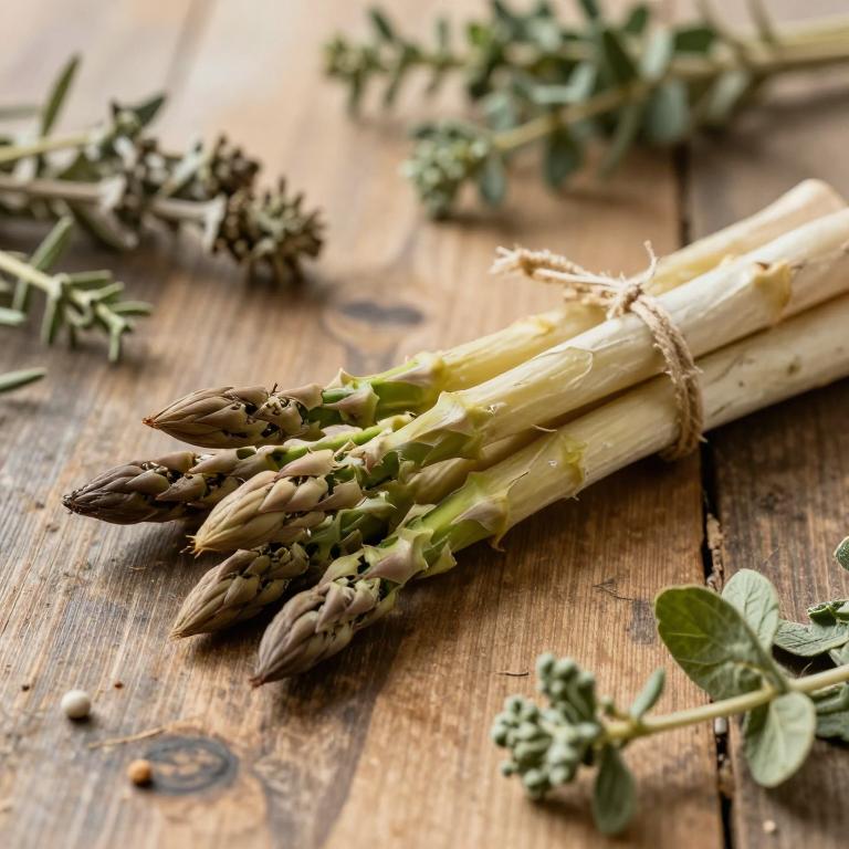 Asparagus albus