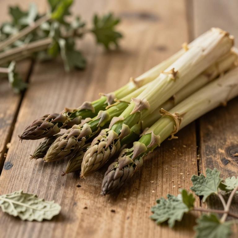 Asparagus asiaticus
