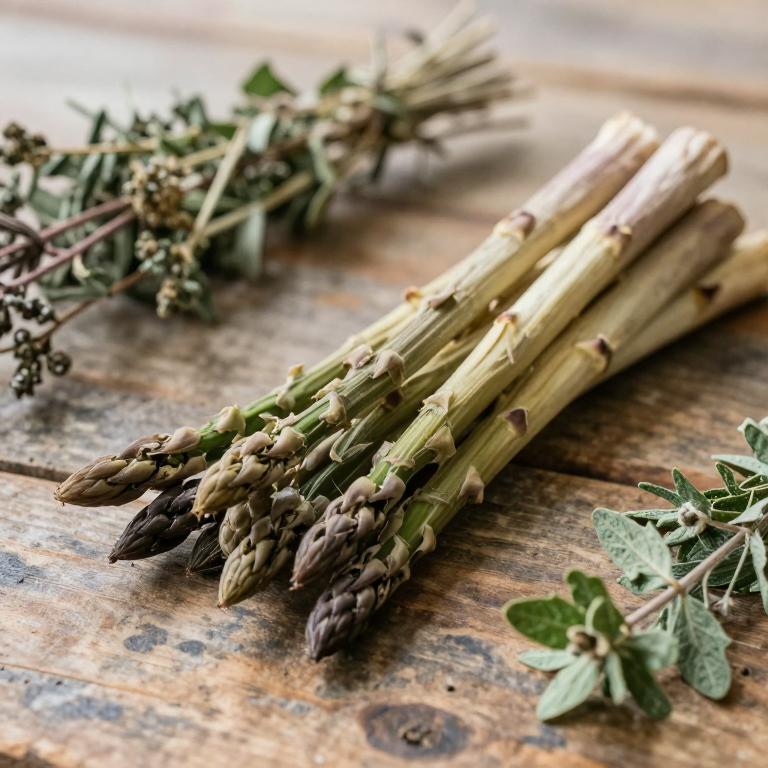 Asparagus dumosus