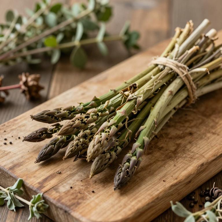 Asparagus suaveolens