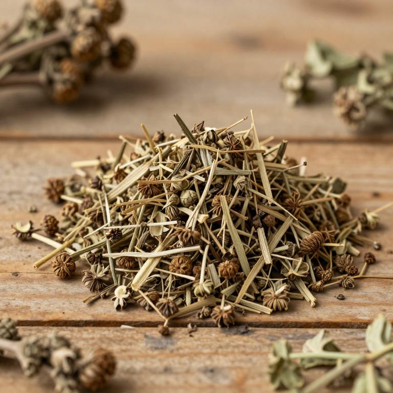 Astragalus cicer