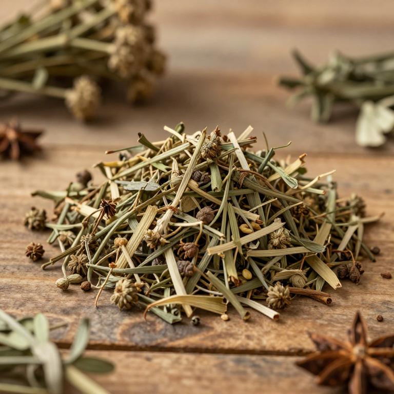 Astragalus sarcocolla