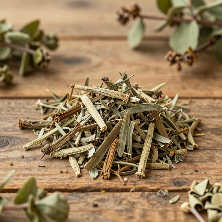 Astragalus sibthorpianus