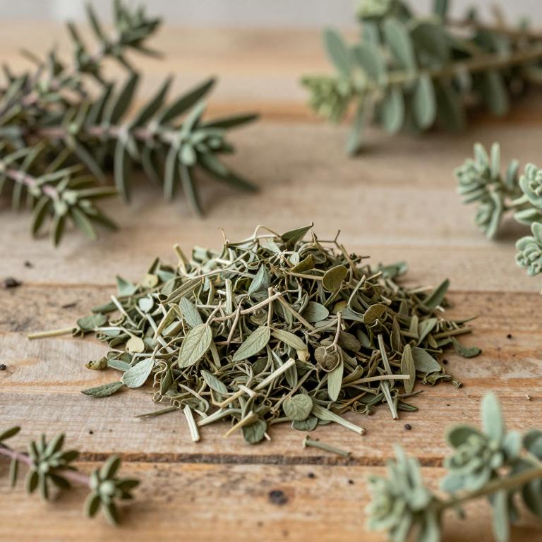 Atriplex cinerea subsp. cinerea
