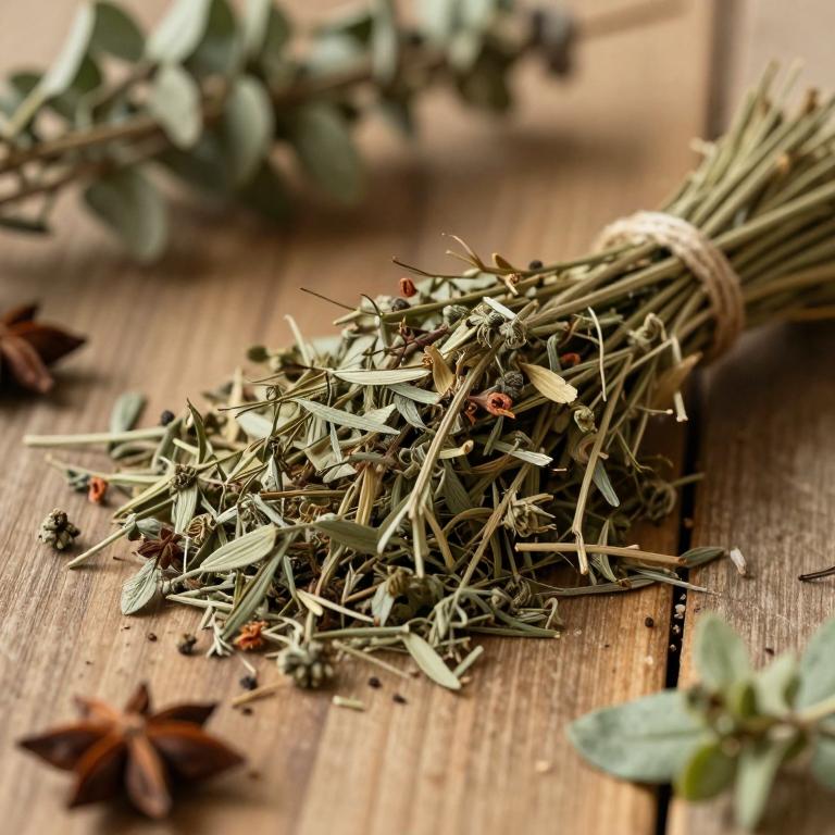 Baccharis conferta