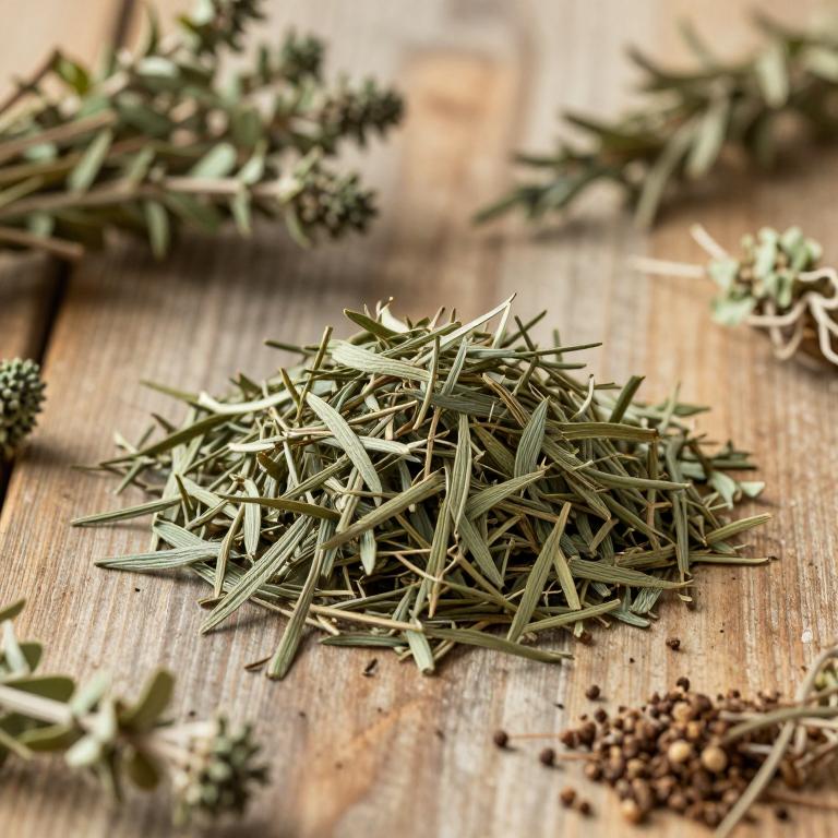 Baccharis coridifolia