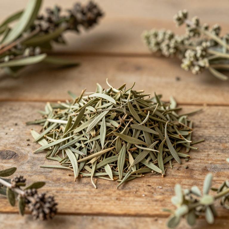 Baccharis latifolia