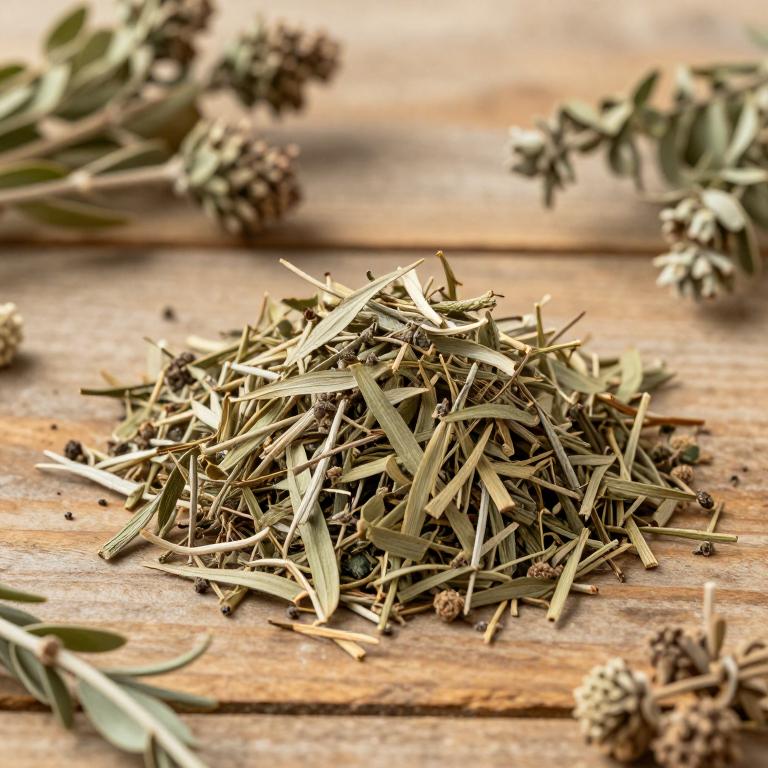 Baccharis macraei