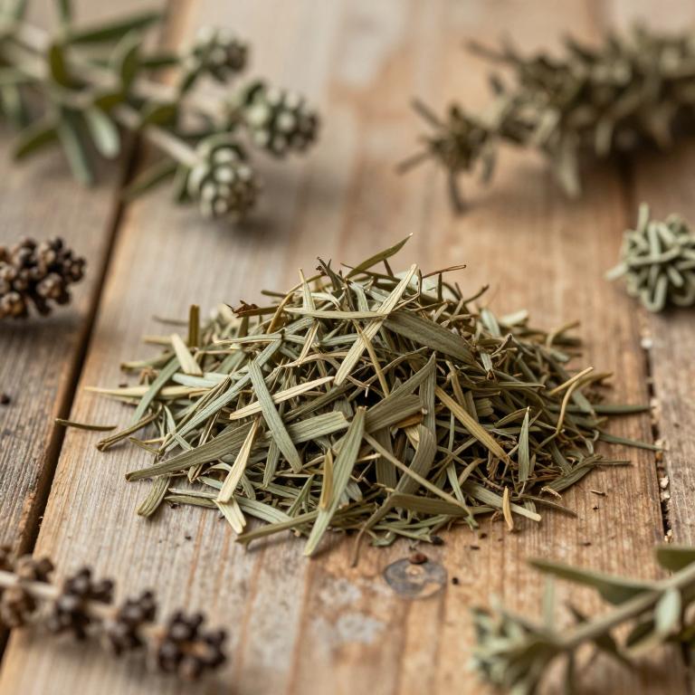 Baccharis teindalensis