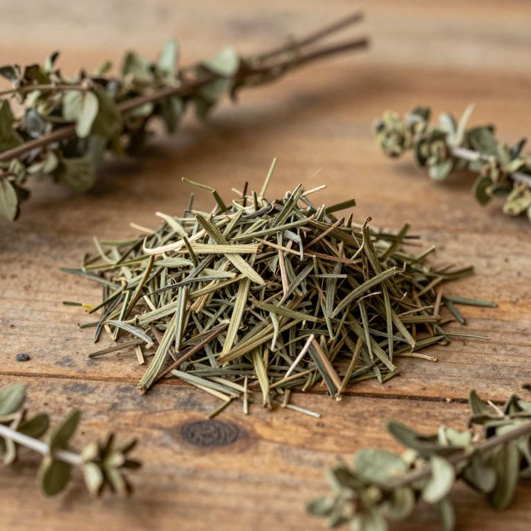 Baccharis trinervis