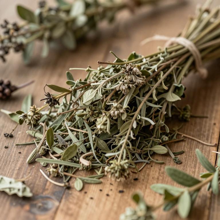 Baccharis