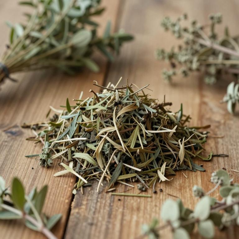 Barnardia japonica var. japonica