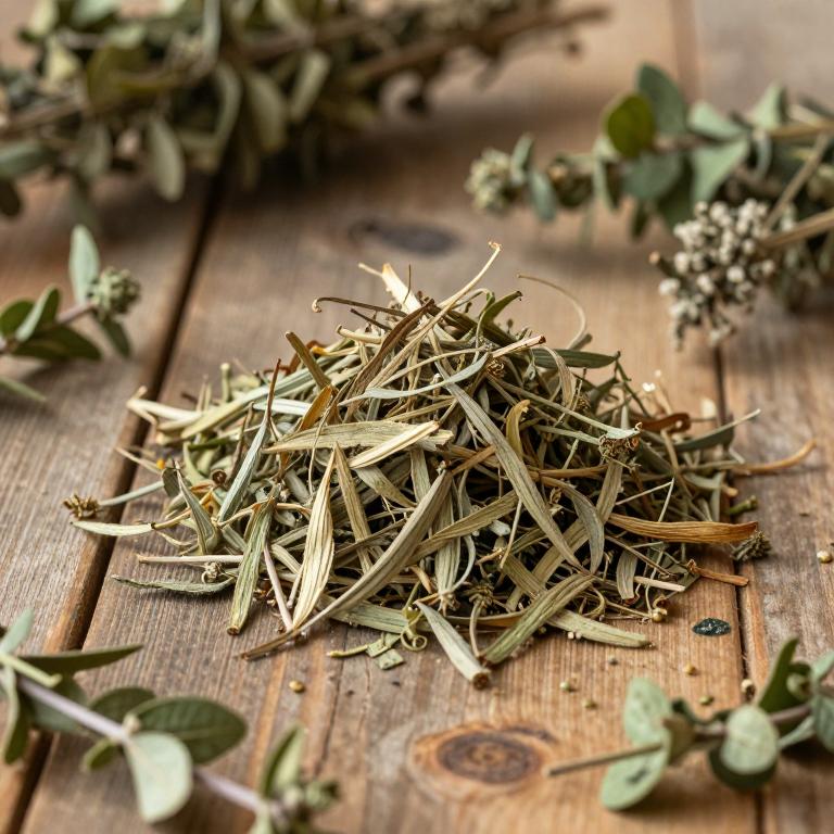 Boerhavia