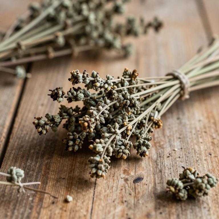 Boronia