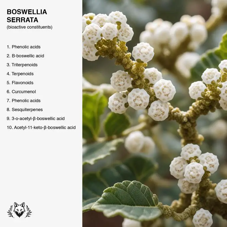 constituents of Boswellia serrata