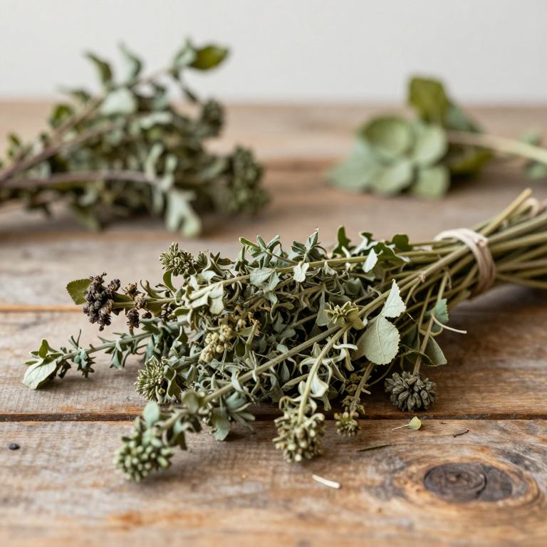 Brassica