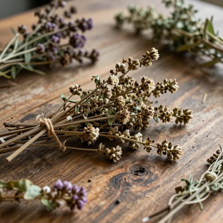 Buddleja