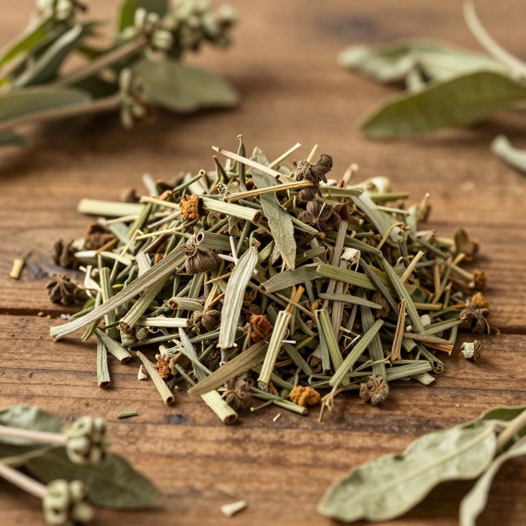 Bupleurum franchetii