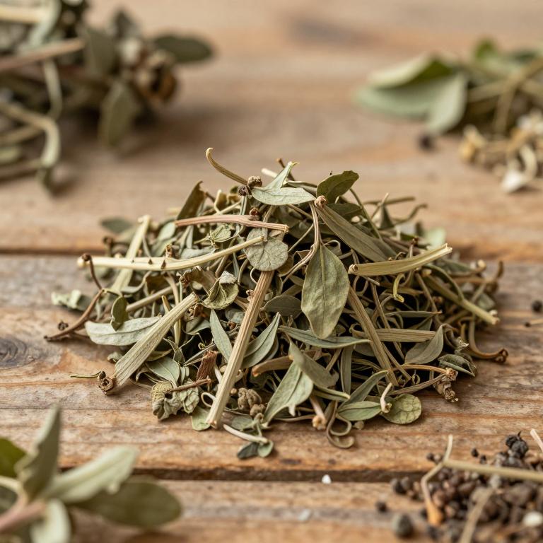 Bupleurum marginatum var. stenophyllum