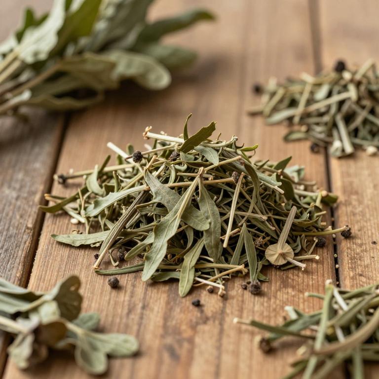 Bupleurum parvifolium