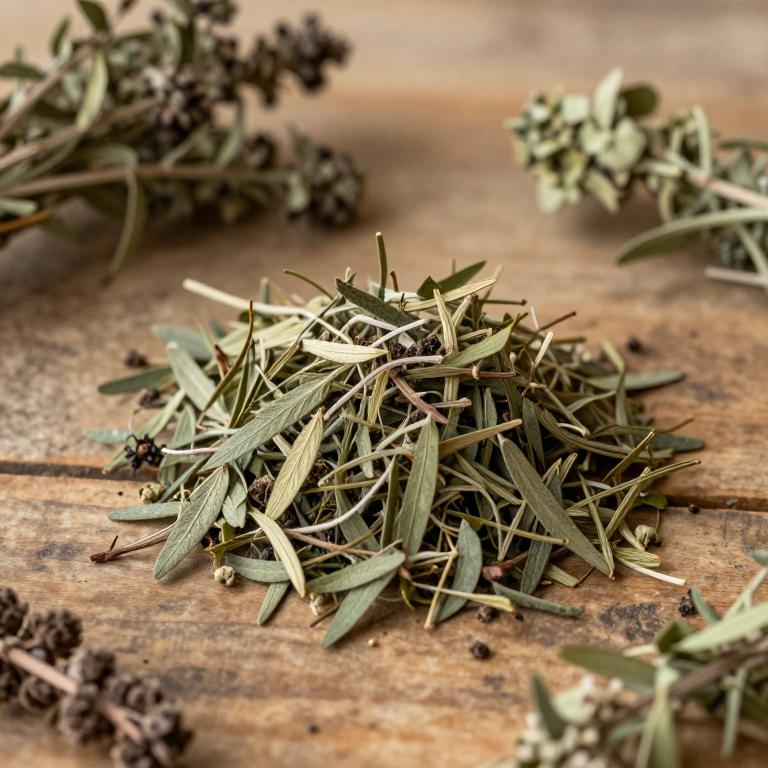 Calea sessiliflora