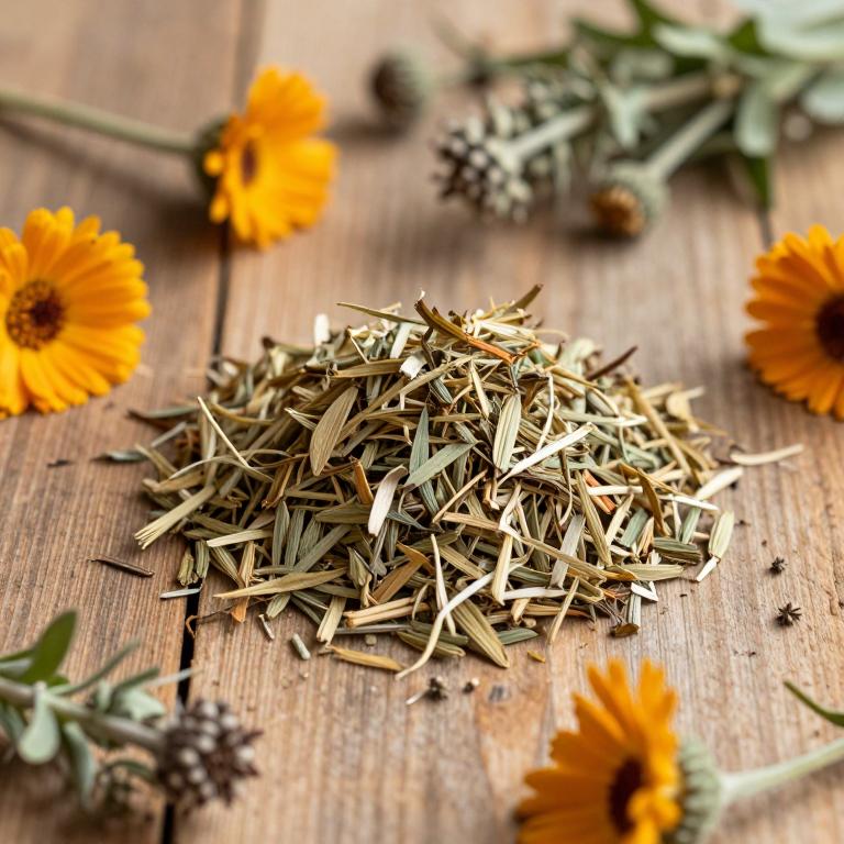 Calendula tripterocarpa