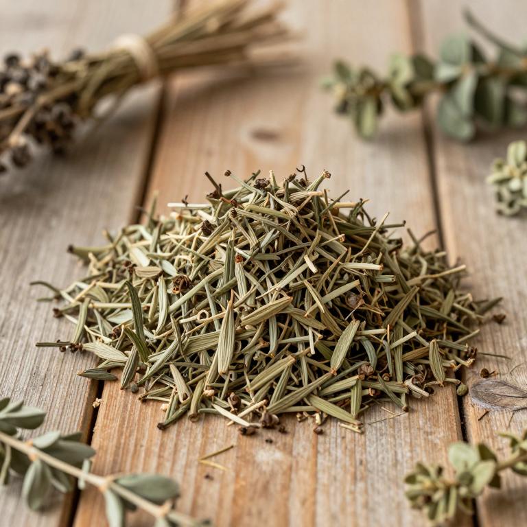 Camelina