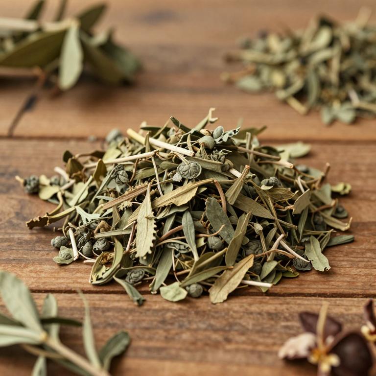 Camellia sinensis var. assamica