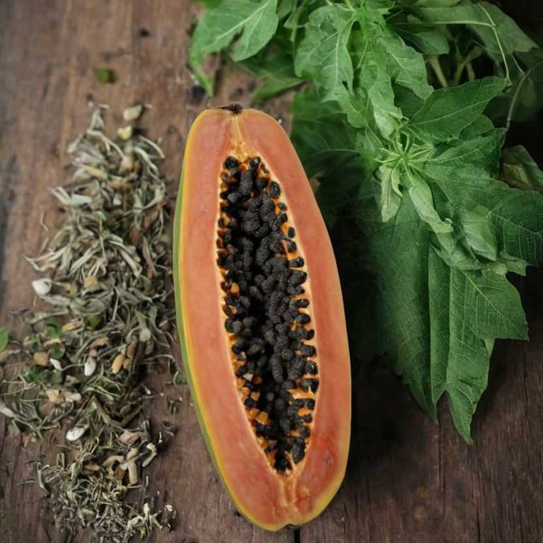 carica papaya