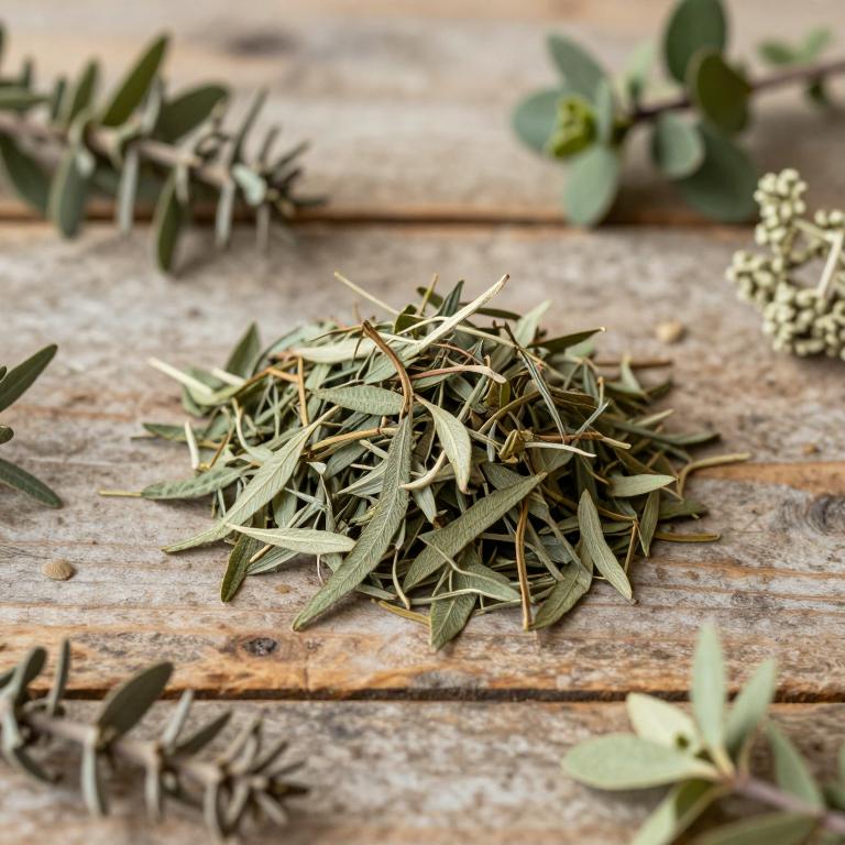 Casearia ilicifolia