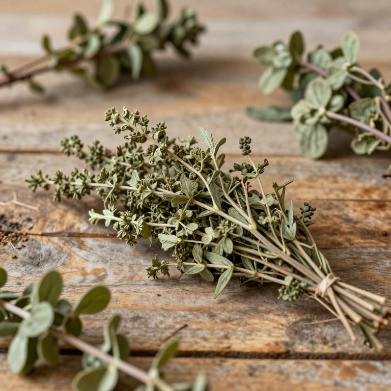 Catunaregam nilotica