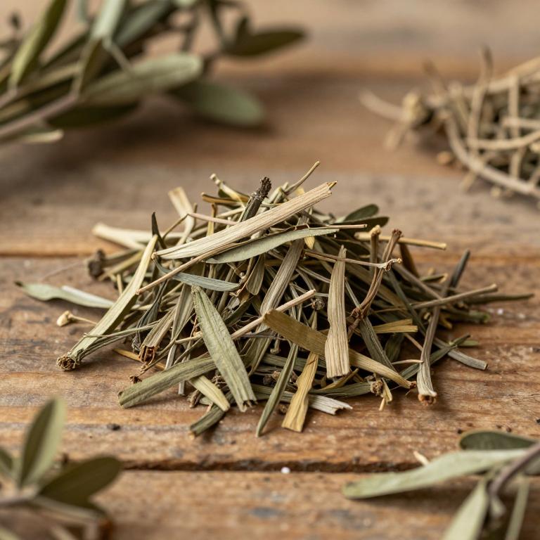 Ceratosanthes palmata